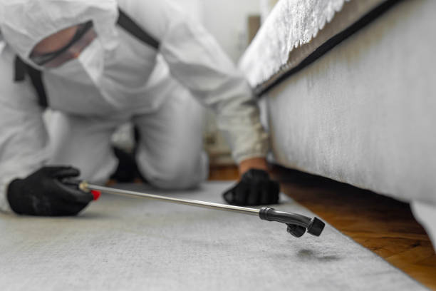 Professional Bed Bug Control technician working in Lisbon Falls, ME