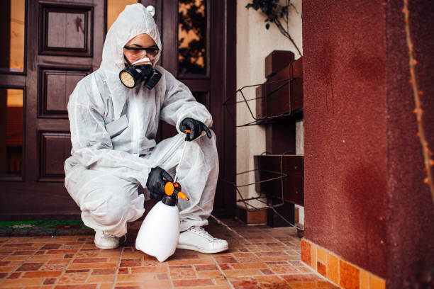 Reliable Bed Bug Control contractor in Lisbon Falls, ME by Nex Pest Control