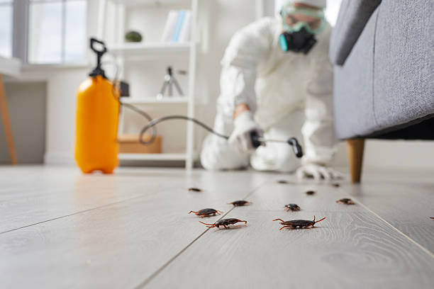 Trusted Rodent Control service in Lisbon Falls, ME - Nex Pest Control