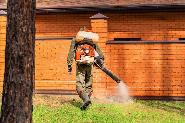 Trusted Emergency Pest Control service in Lisbon Falls, ME - Nex Pest Control